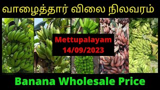 மேட்டுப்பாளையத்தில் நடந்த வாழைத்தார் ஏலம் | Banana Wholesale At Mettupalayam | Banana Market News