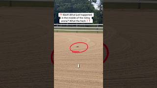 ‼️ Wait! What just happened in the middle of the riding arena? What the heck❓❗️#killdeer