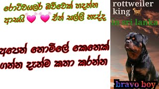 රොටිවයලර් සුරතලෙක් නොමිලේ 🐕 මෙි කියන විදියට හදන්න පුළුවන්නමි විතරයි. we give free puppy 🐕