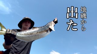 【青物】夏マサ92cm、現る【ロックショア】