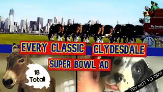 Every Budweiser Clydesdale Super Bowl Commercial Ever! 🏆 #superbowl #superbowlads #superbowllix