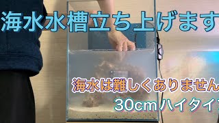 海水水槽立ち上げます。簡単にニモが飼えるかも！？