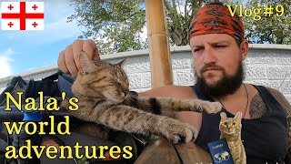 Nala cat's adventures in Georgia 🇬🇪 VLOG#9