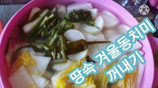 땅속 동치미 꺼내는 날(Dongchimi Kimchi)