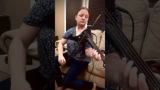 Purpose by Lindsey Stirling - Graceful Strings Cover