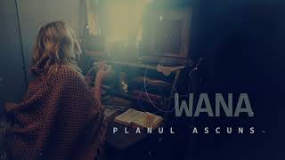 Wana - Planul ascuns (feat. Corneliu)