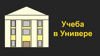 Как проходит учеба в университете?