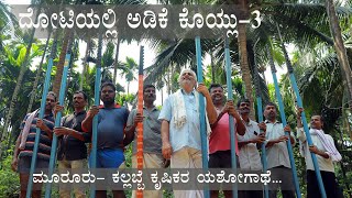 Harvest| Arecanut |fiber pole| ದೋಟಿಯಲ್ಲಿ ಅಡಿಕೆ ಕೊಯ್ಲು ಭಾಗ -3 | Kannada vipula news |ಕೃಷಿಕರ ಯಶೋಗಾಥೆ |