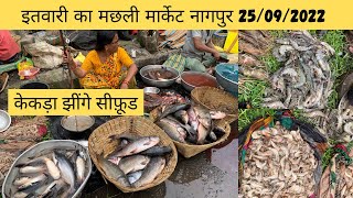 Fish Market In Nagpur | Itwari fish market  | केकड़ा/ झींगे/ sea फ़ूड / मछली मार्केट नागपुर