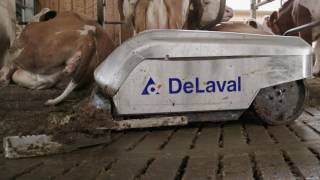 Customer story Sedlmair, Germany. “Our most reliable employee.”, with DeLaval robot scraper RS450S.