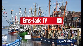 Krabbenpulmeisterschaft und Open Ship bei Kutterregatta in Neuharlingersiel