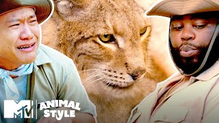 Tim & Darren FACE 2 Dirty (Dirty!) Tortoises & 1 Grumpy Lynx | MTV Animal Style