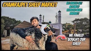 Bangalore Chamrajpet sheep market bakrid special 2024 we finally bought our sheep see full video