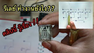 หลักการทำงานของ รีเลย์ สอนละเอียด เข้าใจแน่นอน!