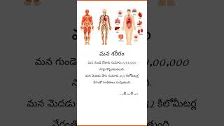 మన శరీరం