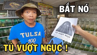 Ông chủ trại cá Betta bắt tên Tù Vượt Ngục bị Tuy Nã và cái kết