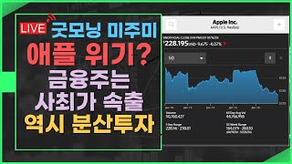 [굿모닝 미주미]  애플 9월 이후 최대 급락,  금융주는 사최가 속출, 역시 분산투자가 답이다  #이항영 #미주미