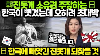 (해외반응) 일본이 한국 진돗개 소유권을 주장하는 이유에 전세계 뜨거운 상황.. 외국인반응 일본반응 외국반응 세계반응