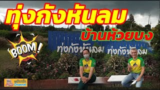 ทุ่งกังหันลมห้วยบง อ.ด่านขุนทด โคราช จุดชมวิวกังหันลม บ้านห้วยบง