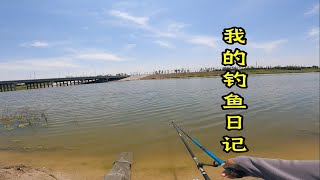 野钓凤泉大桥，试试这边鱼情怎么样