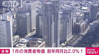 【速報】1月の全国消費者物価指数　前年同月比2.0％上昇　上昇幅3カ月連続縮小(2024年2月27日)