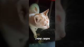 #আপনারা #চাইলে #অনে#ভিডিও #করতে #পারি