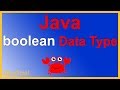 Java Boolean Data Type by Example - TRUE or FALSE -  Easy Java Tutorials - Appficial