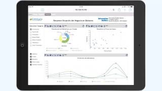 WebFOCUS - In-Document Analytics