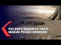 Tarif Masuk Pulau Komodo Resmi Naik jadi Rp3,75 Juta Per 1 Agustus 2022, Ini Rincian Peruntukannya!