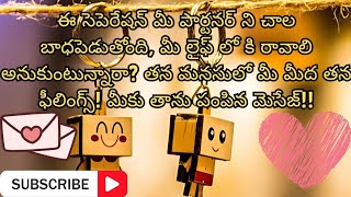 ఈ సెపెరేషన్ మీ పార్టనర్ ని చాల బాధపెడుతోంది, మీ Lifeloకిరావాలి అనుకుంటున్నారా?|Tarot Reading telugu