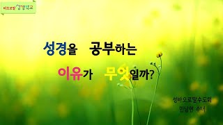 성경을 공부하는 이유가 무엇일까? ➁ (성바오로딸수도회 민엠마 수녀)