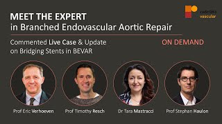 MEET THE EXPERT in Branched Endovascular Aortic Repair