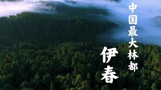 中国最大的森林城市~伊春