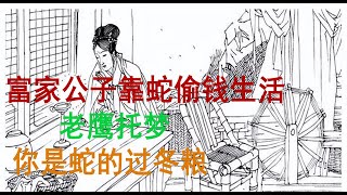 民間故事：富家公子靠蛇偷钱生活，老鹰托梦：你是蛇的过冬粮！