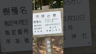 からと(唐櫃)の地名の由来。