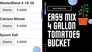 Kratky Tomatoes 4 gallons masterblend mix on 5 gallon bucket