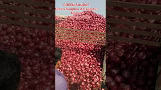 Nashik onion market | green source