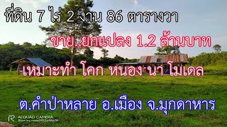 ที่ดิน 7 ไร่ ราคาถูก ตำบลคำป่าหลาย เมืองมุกดาหาร จังหวัดมุกดาหาร ยกแปลง 1.2 ล้านบาท