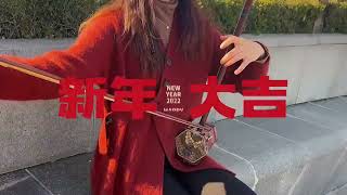 【弦音二胡】弦音给您拜大年！过年啦！！！