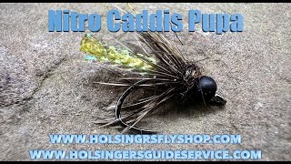 Nitro Caddis Pupa, Holsinger's Fly Shop