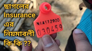 ছাগলের ইনসিওরেন্স কি করে করতে হয়? Goat Insurance