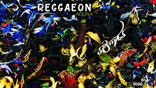 REGGAEON - სადგომი | Sadgomi