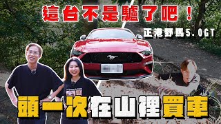 【中古車大揭秘】這台不是驢了吧！為什麼要把車藏在山裡⋯估正港野馬5.0GT