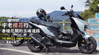 宇老櫻花行-春暖花開的玉峰道路|SYM MMBCU \u0026 YAMAHA FZ-S150 ft.@BlackBearDaily1119