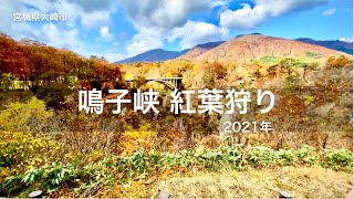 紅葉狩り 鳴子峡 2021年 秋 宮城県大崎市