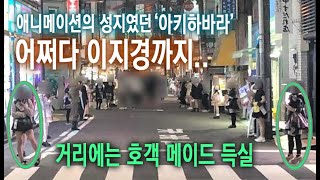 예전 아키하바라 메이드 떠올리고 따라가면 안되는 이유