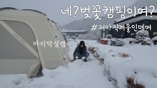 [솔캠#캠핑힐러]봄에게 달려가다 겨울에게 급하게 유턴/시즌마지막설캠/눈보러태백