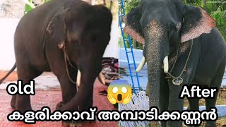 😱 കളരിക്കാവ് അമ്പാടിക്കണ്ണൻ വളർന്നപ്പോൾ...🔥|EP 7|Kalarikkavu Ambadikkannan|RS creations 🥰