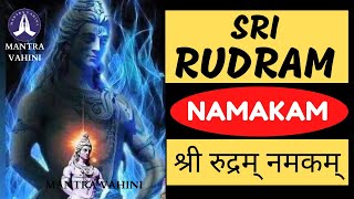 श्री रुद्रम् नमकम् | Sri Rudram Namakam | Most Powerful Vedic Mantra of Lord Shiva | Shivratri 2023