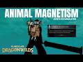 Animal Magnetism RuneScape Dragon Wilds Quest Guide | Ava's Accumulator